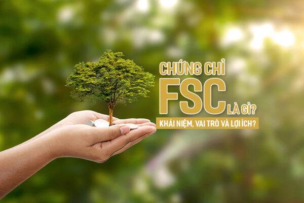 Chứng chỉ FSC là gì Khái niệm vai trò và lợi ích