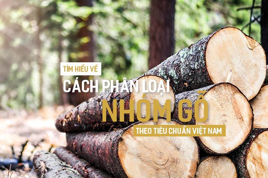 Tìm hiểu về cách phân loại nhóm gỗ theo Tiêu Chuẩn Việt Nam.