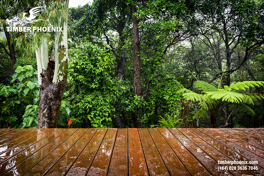 Các ưu điểm của gỗ tự nhiên và cách tối ưu.