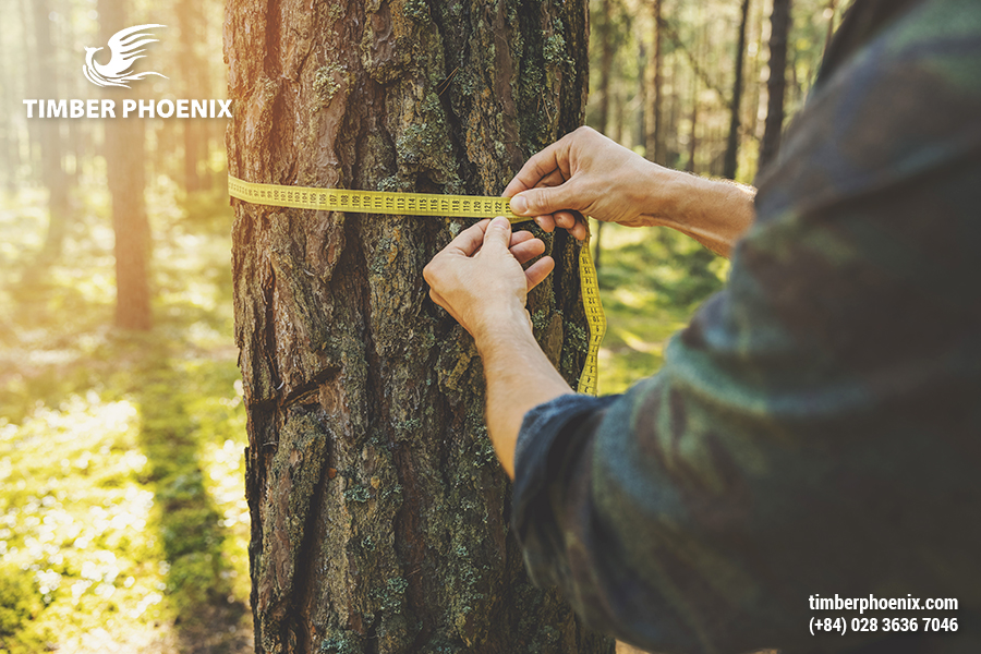 Các ưu điểm của gỗ tự nhiên và cách tối ưu.
