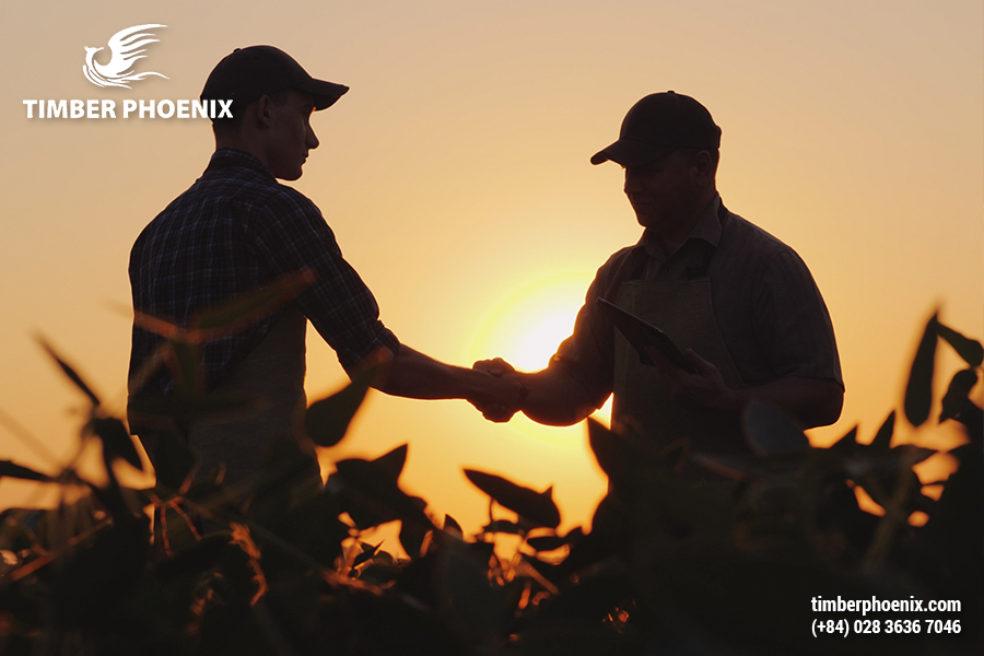 Cách quản lý vòng đời sản phẩm gỗ và nội thất hiệu quả.
