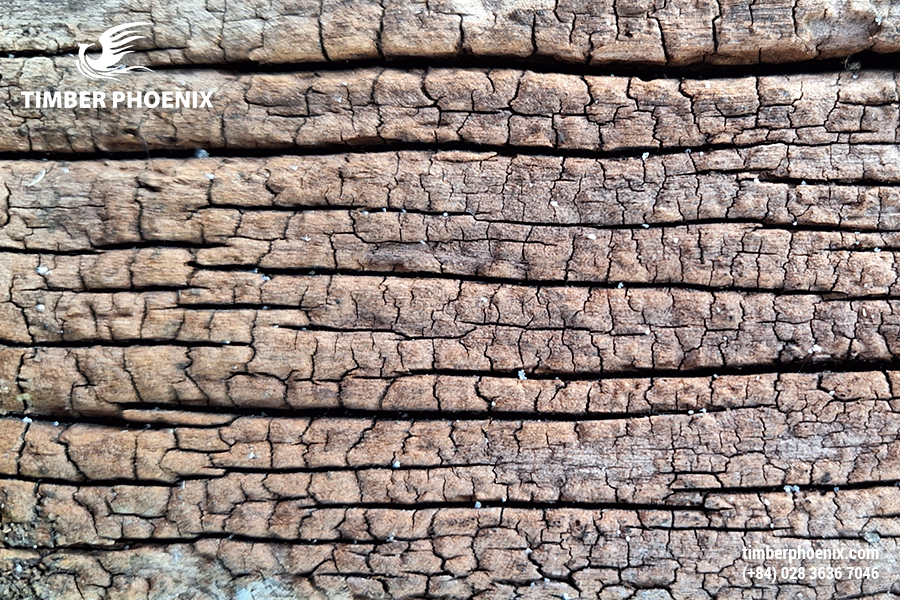 Đặc tính của gỗ là gì? Gỗ có những đặc tính nào?