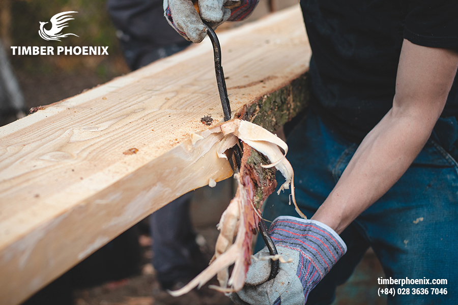 Đặc tính của gỗ là gì? Gỗ có những đặc tính nào?