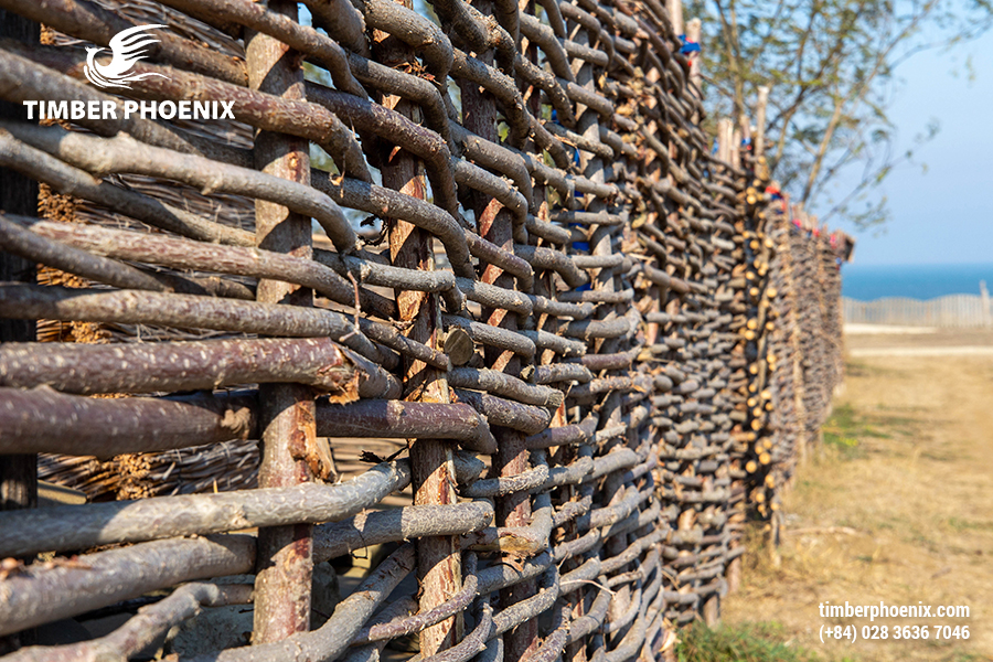 Đặc tính của gỗ là gì? Gỗ có những đặc tính nào?