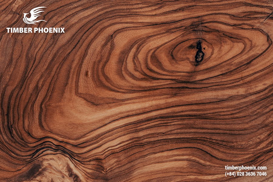 Đặc tính của gỗ là gì? Gỗ có những đặc tính nào?