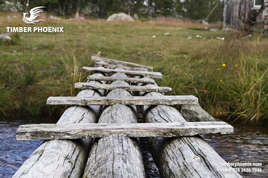 Tp Go Tu Nhien La Gi Dac Diem Va Ung Dung 05