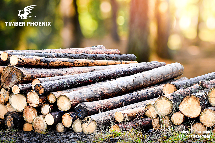 Gợi ý mô hình vòng đời sản phẩm nội thất phù hợp nhất.