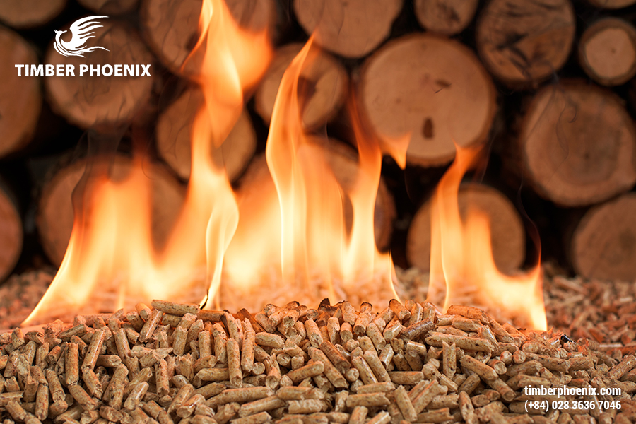 Gợi ý mô hình vòng đời sản phẩm nội thất phù hợp nhất.