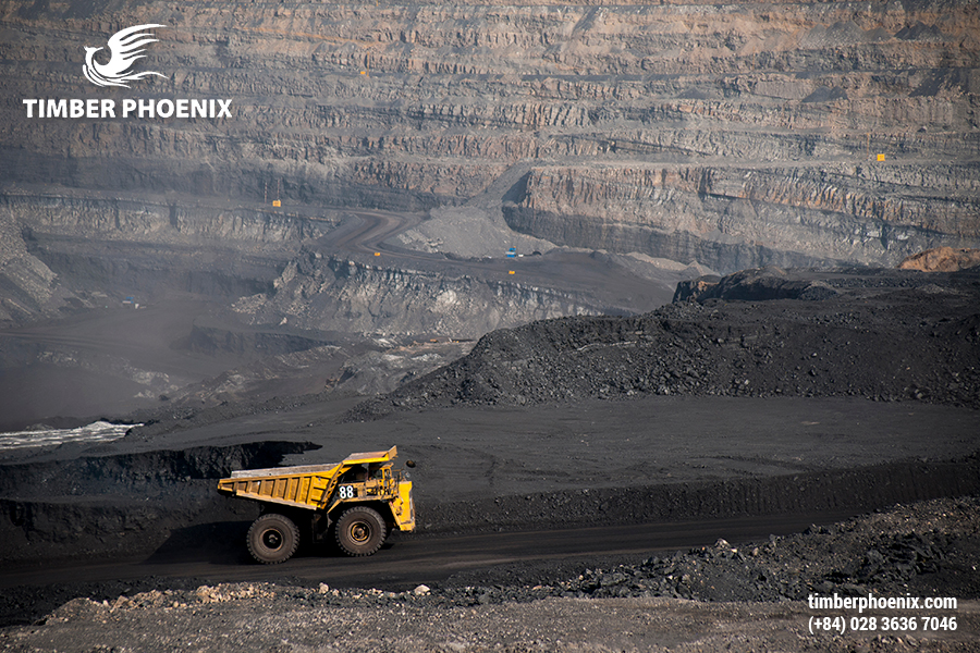 Mất rừng là gì? Các nguyên nhân gây mất rừng?