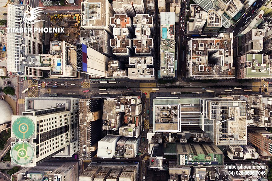 Mất rừng là gì? Các nguyên nhân gây mất rừng?