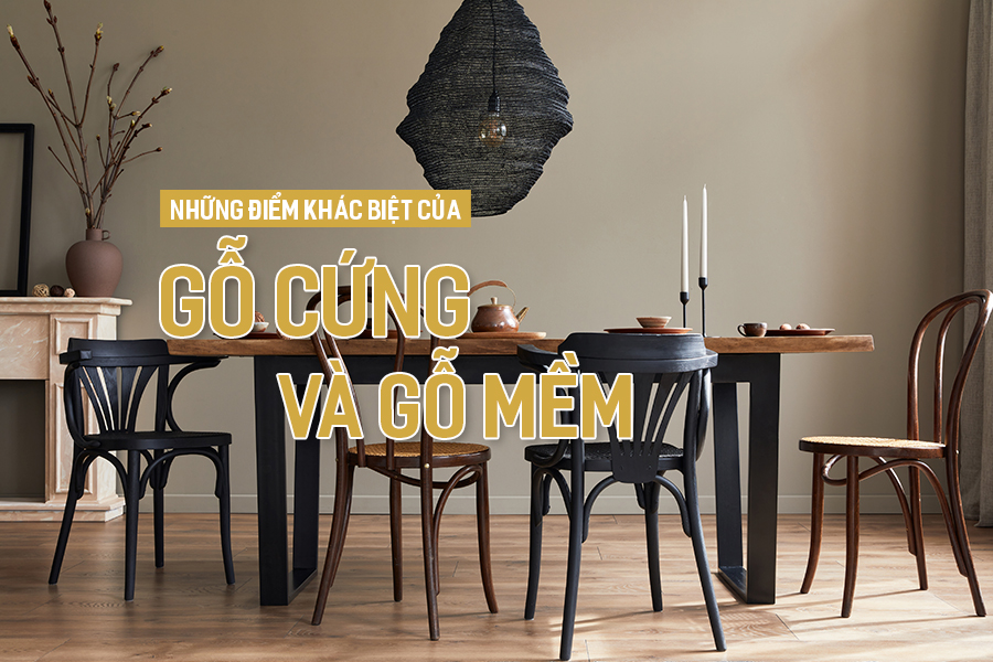 Những điểm khác biệt của gỗ cứng và gỗ mềm.