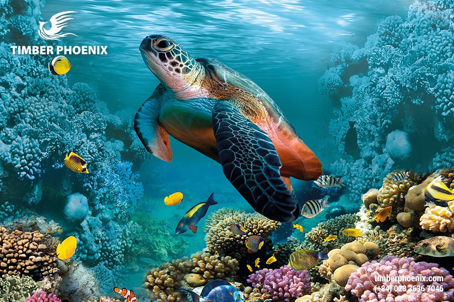 Những xu hướng phát triển bền vững giúp tạo thay đổi lớn cho tương lai.