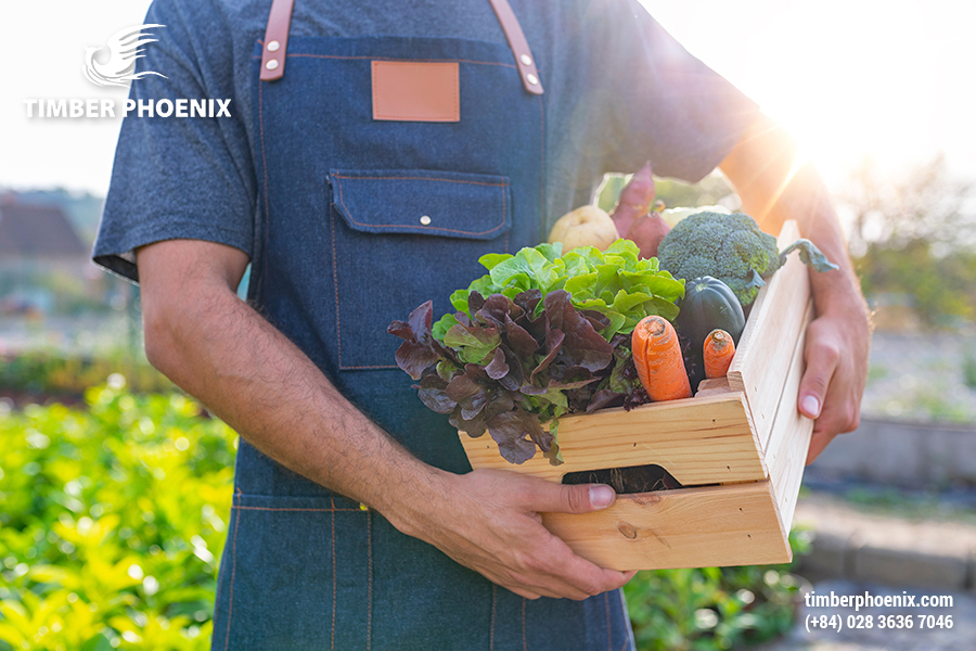 Những xu hướng phát triển bền vững giúp tạo thay đổi lớn cho tương lai.