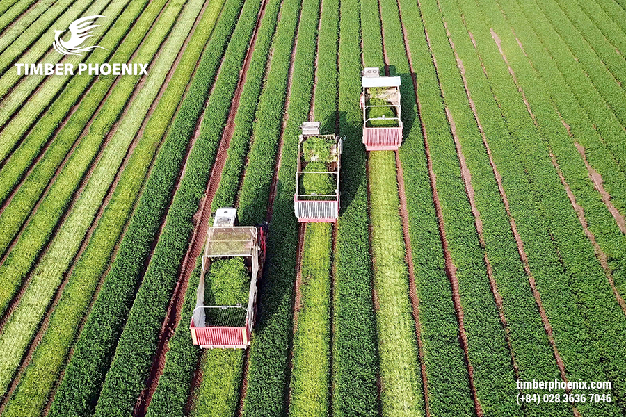 Những xu hướng phát triển bền vững giúp tạo thay đổi lớn cho tương lai.