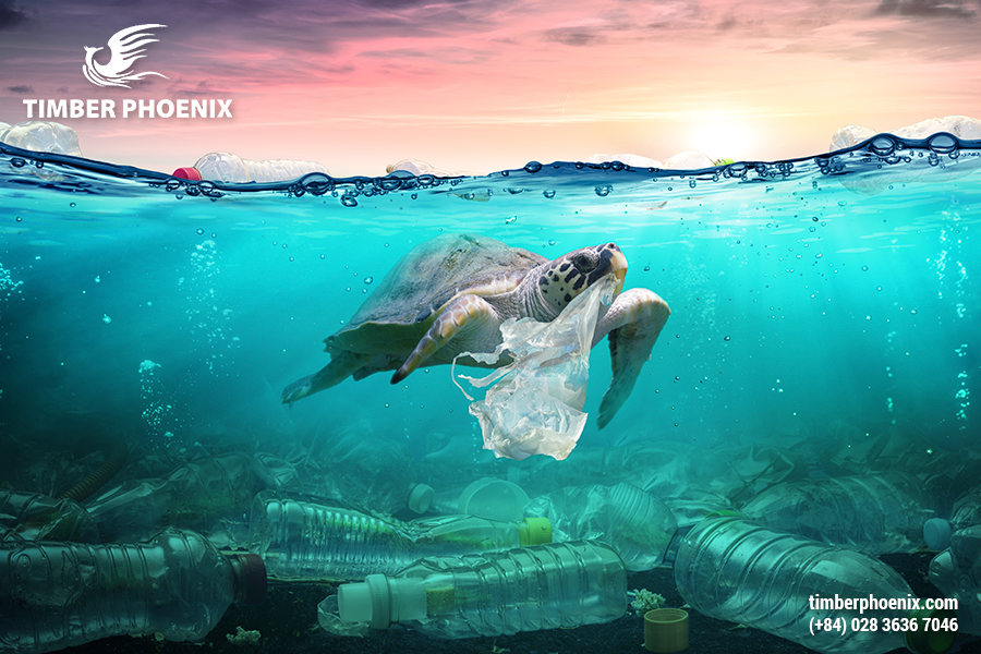 Ô nhiễm môi trường là gì? Các mức độ ô nhiễm nguy hại?