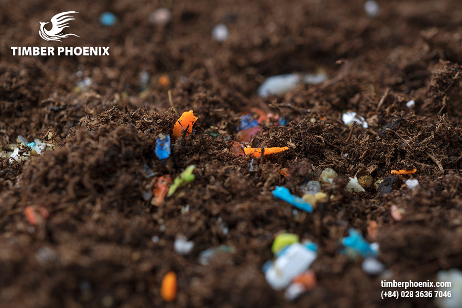 Ô nhiễm môi trường là gì? Các mức độ ô nhiễm nguy hại?