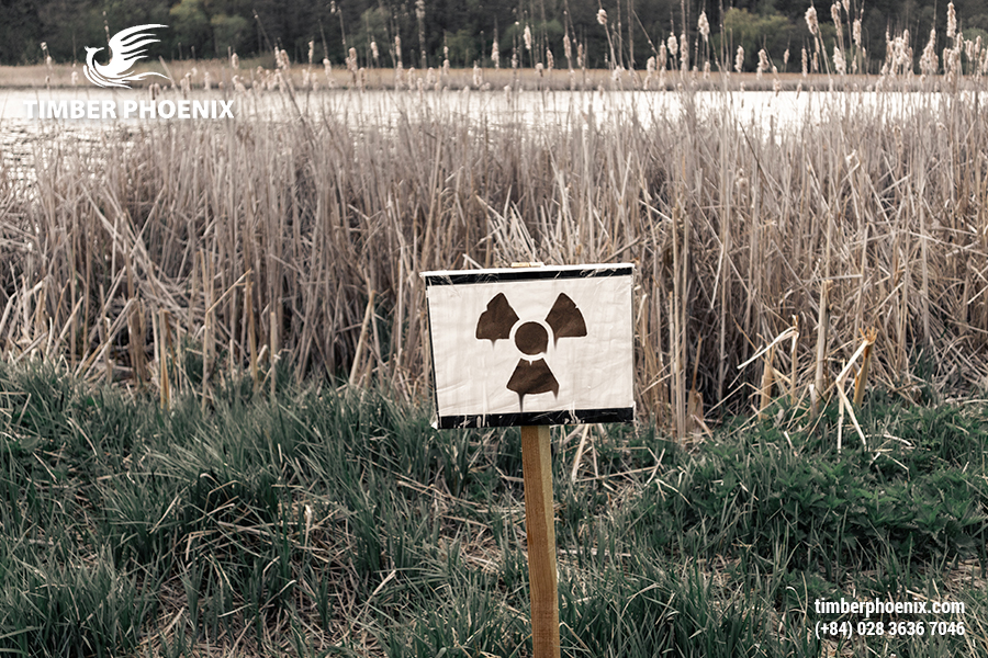 Ô nhiễm môi trường là gì? Các mức độ ô nhiễm nguy hại?