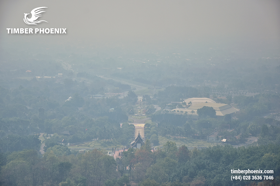 Ô nhiễm môi trường là gì? Các mức độ ô nhiễm nguy hại?