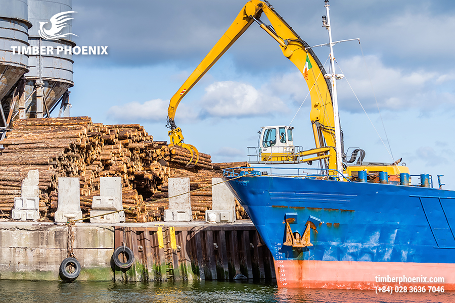 Phân tích tác động môi trường của ngành công nghiệp gỗ.