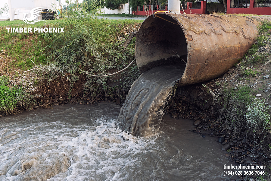Phân tích tác động môi trường của ngành công nghiệp gỗ.