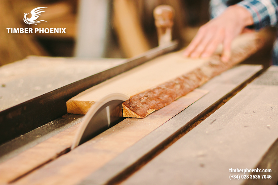 Phân tích tác động môi trường của ngành công nghiệp gỗ.