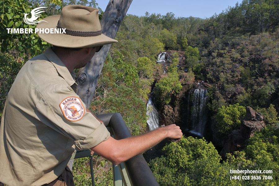Phân tích tác động môi trường của ngành công nghiệp gỗ.
