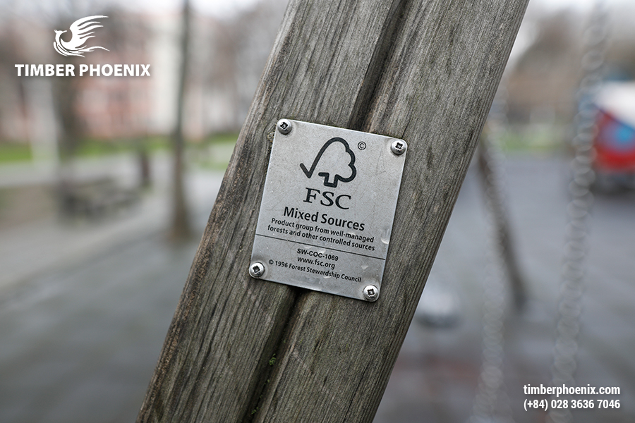 Phân tích tác động môi trường của ngành công nghiệp gỗ.