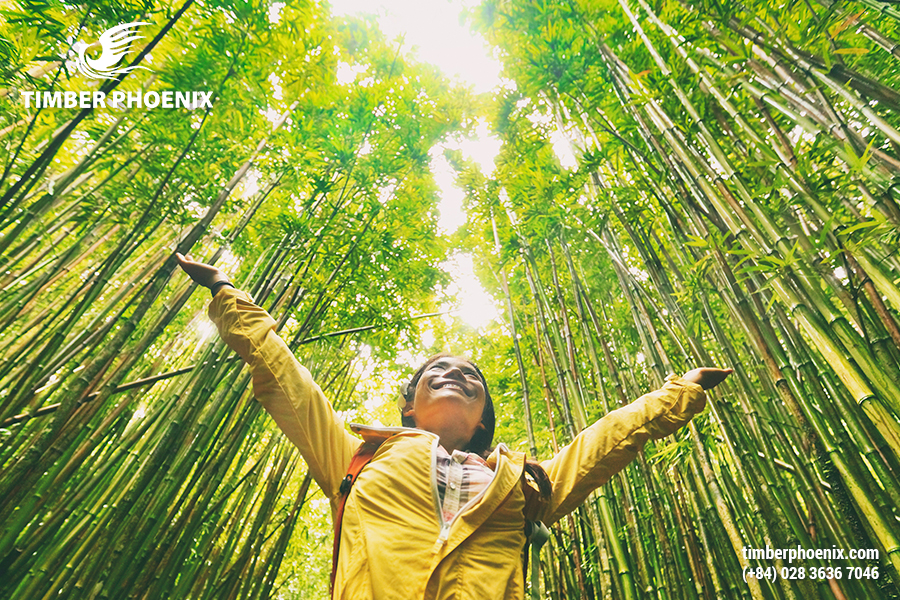 Phát triển bền vững là gì? Các ví dụ về phát triển bền vững.