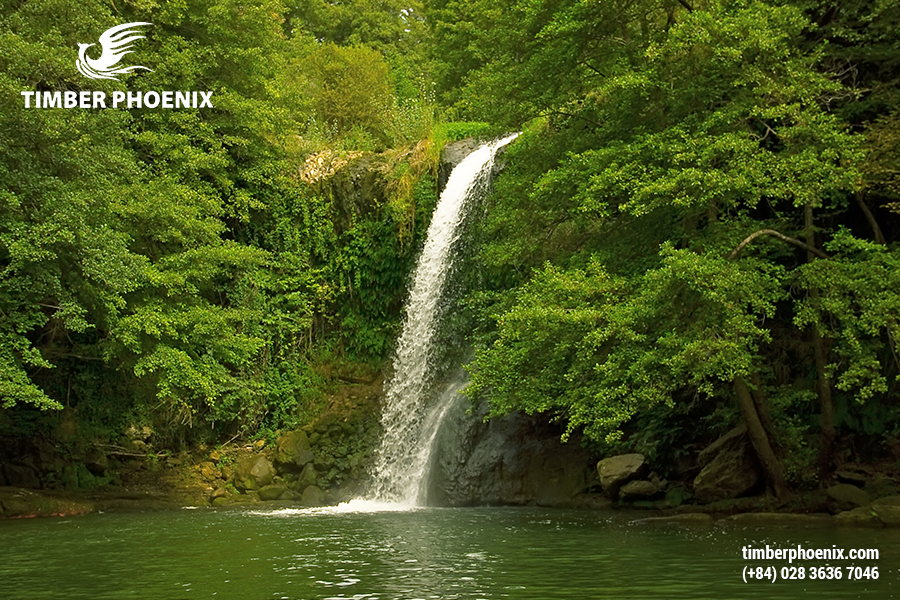 Phát triển bền vững là gì? Các ví dụ về phát triển bền vững.