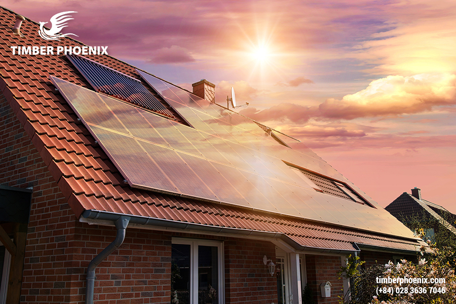 Phát triển bền vững là gì? Các ví dụ về phát triển bền vững.