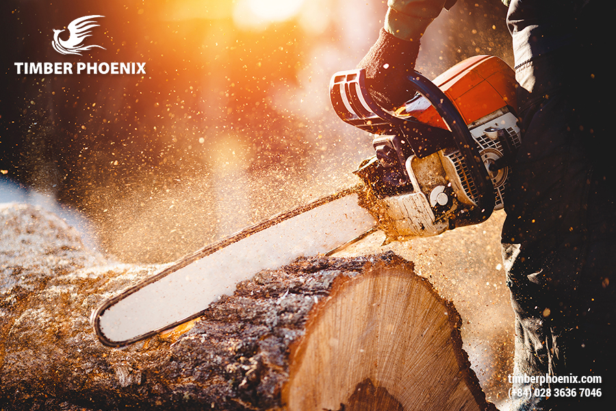 Sản phẩm gỗ là gì? Vai trò của các sản phẩm gỗ?