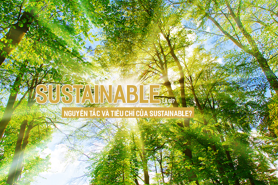 Sustainable là gì? Nguyên tắc và tiêu chí của Sustainable?