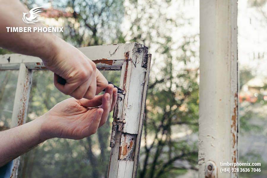 Tầm quan trọng của tái chế và tái sử dụng trong ngành gỗ.