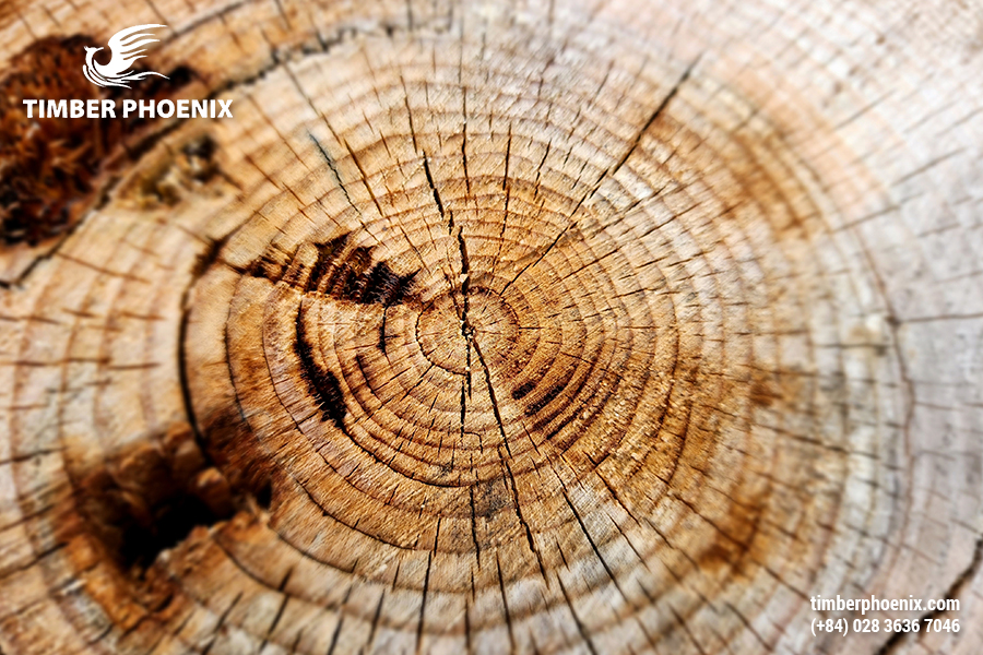 Thực trạng về vòng đời sản phẩm trong ngành gỗ hiện nay.