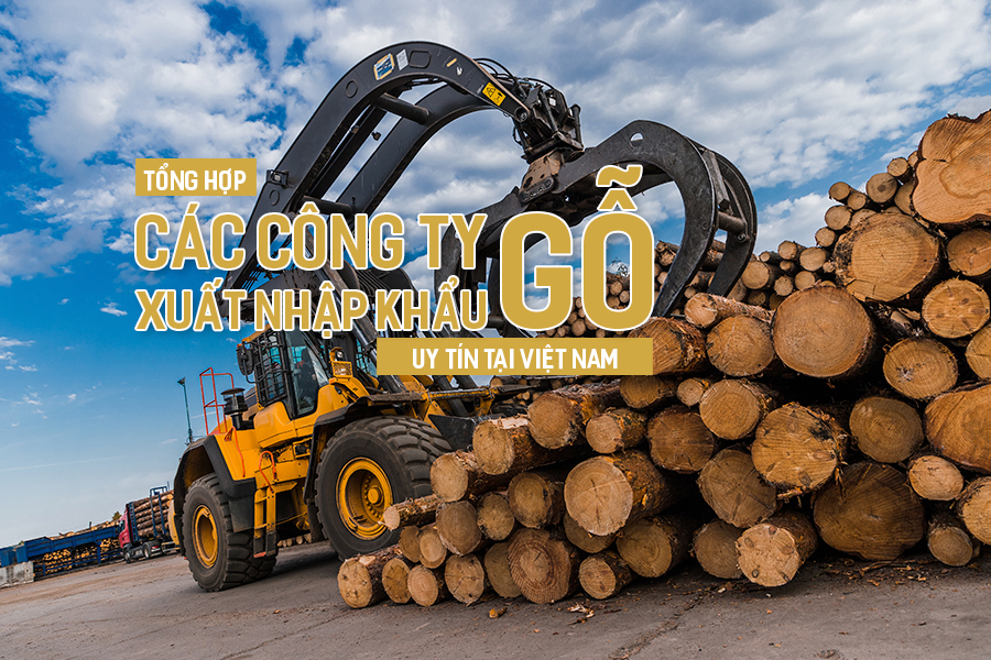 Tổng hợp các công ty xuất nhập khẩu gỗ uy tín tại Việt Nam.
