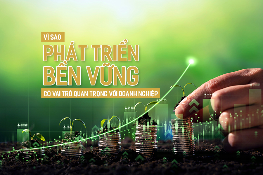 Vì sao phát triển bền vững có vai trò quan trọng với doanh nghiệp?