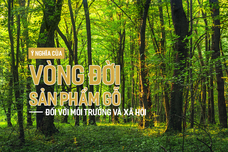 Ý nghĩa của vòng đời sản phẩm gỗ đối với môi trường và xã hội.