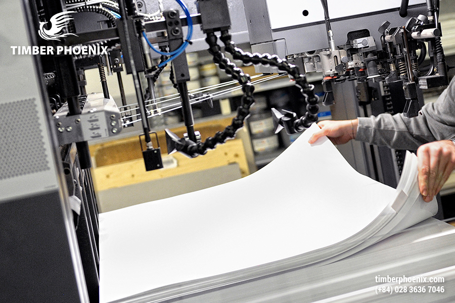 Giấy làm từ gì? Quy trình sản xuất giấy tiêu chuẩn.