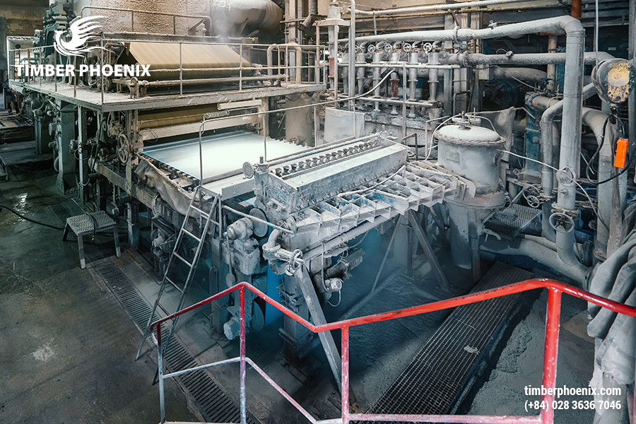 Giấy làm từ gì? Quy trình sản xuất giấy tiêu chuẩn.