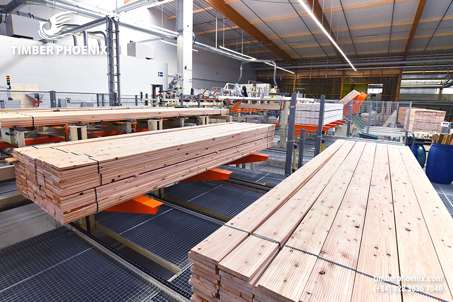 Gỗ bền vững là gì? Lợi ích và nguyên tắc của sản phẩm gỗ bền vững?