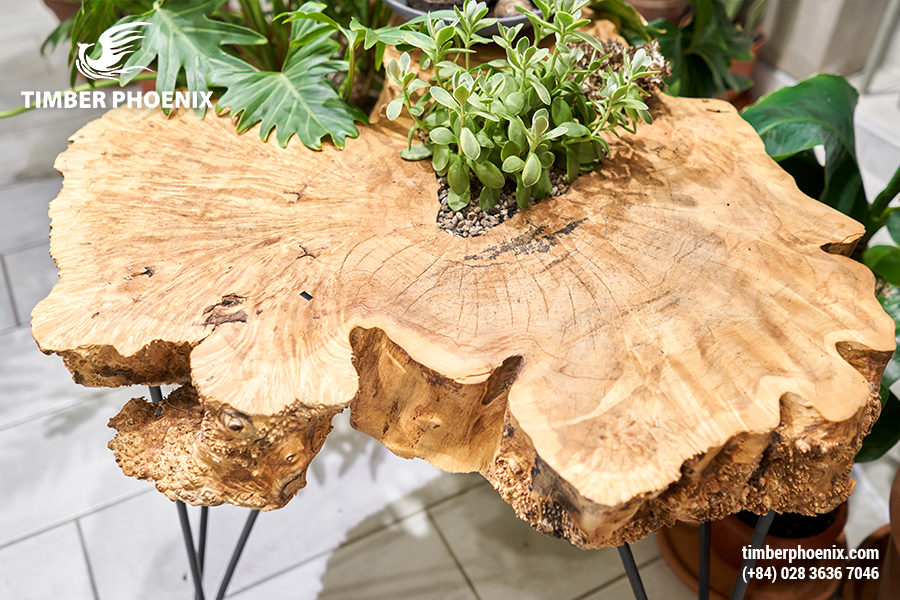 Gỗ nguyên tấm là gì? Định nghĩa, đặc điểm và ứng dụng.