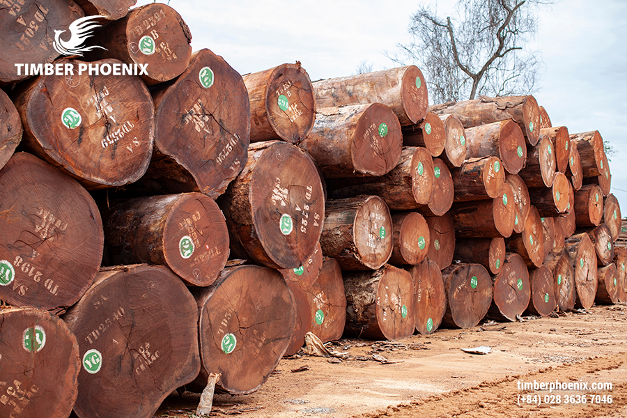 Gỗ nhập khẩu là gì? Danh sách các loại gỗ nhập khẩu phổ biến.