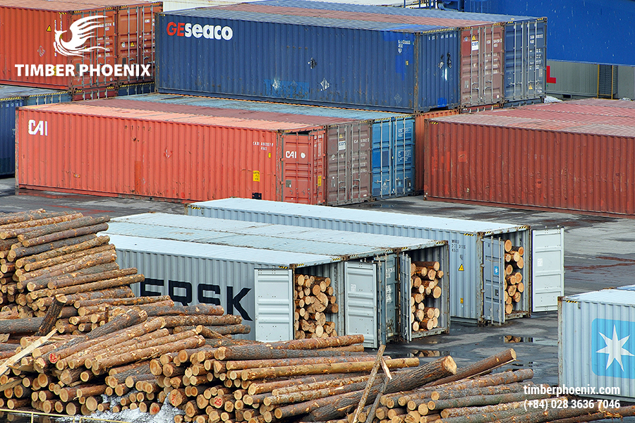 Gỗ nhập khẩu là gì? Danh sách các loại gỗ nhập khẩu phổ biến.