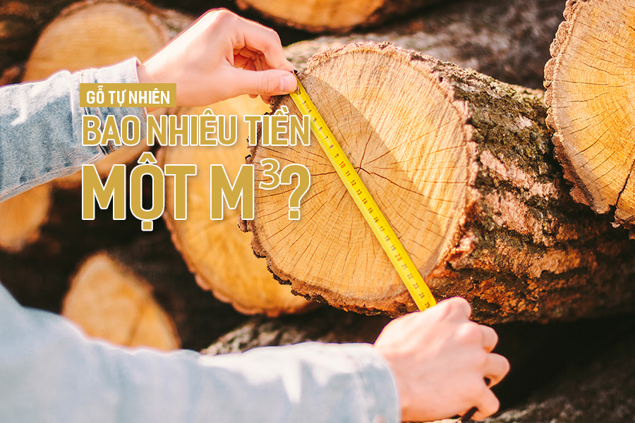 Gỗ tự nhiên bao nhiêu tiền một m³?