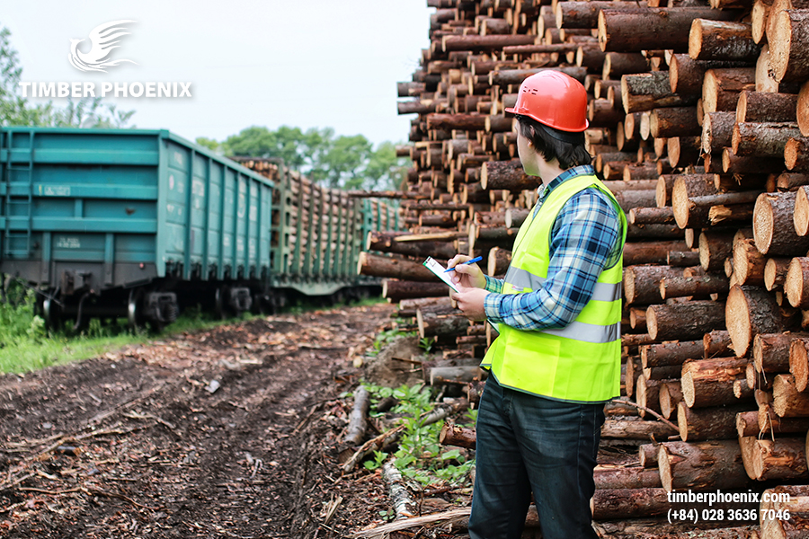 Khai thác gỗ hợp pháp là gì? Khái niệm, đặc điểm và cách xác minh.