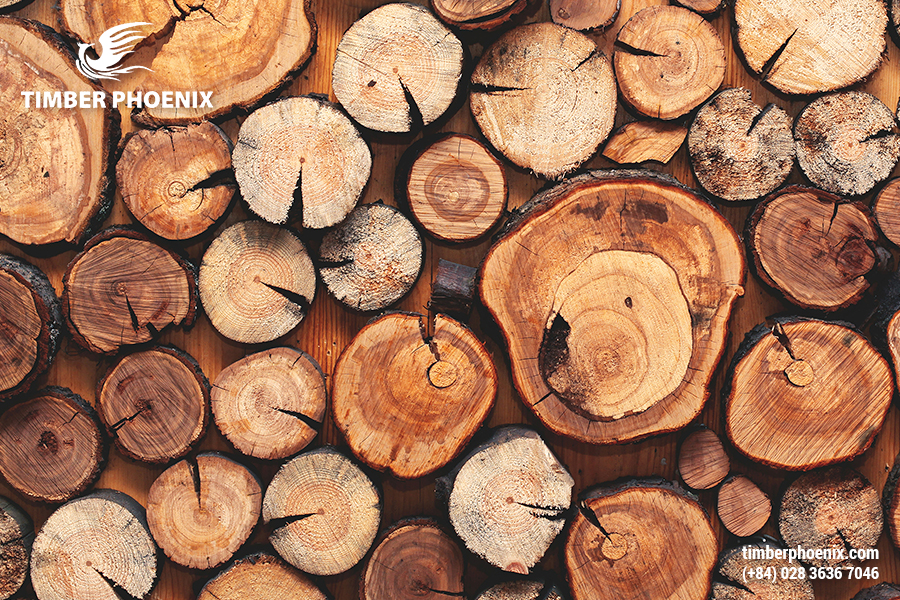 Muốn mua gỗ nguyên liệu giá sỉ uy tín tìm ở đâu?