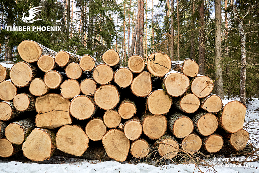 Muốn mua gỗ nguyên liệu giá sỉ uy tín tìm ở đâu?