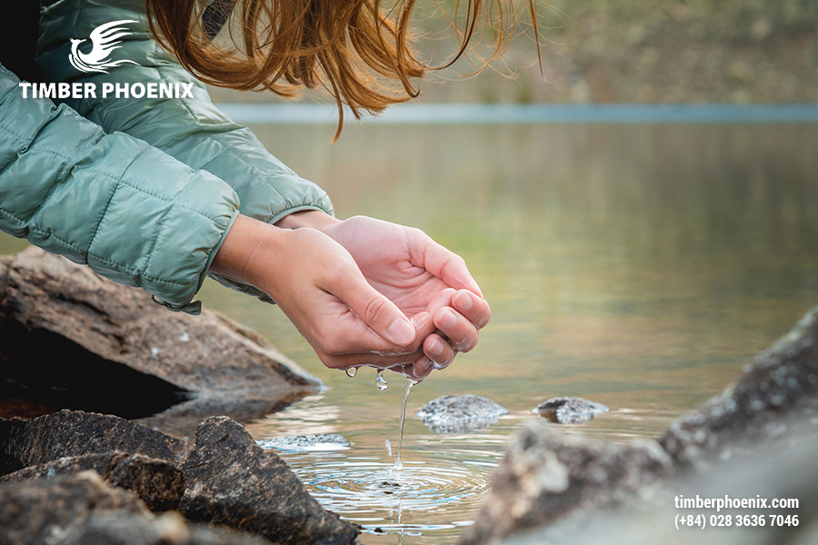 TP-Nguyen-lieu-tu-nhien-la-gi-dinh-nghia-vai-tro-va-cac-loai-pho-bien-0