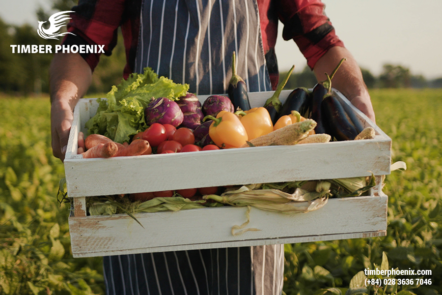 TP-Nguyen-lieu-tu-nhien-la-gi-dinh-nghia-vai-tro-va-cac-loai-pho-bien-0