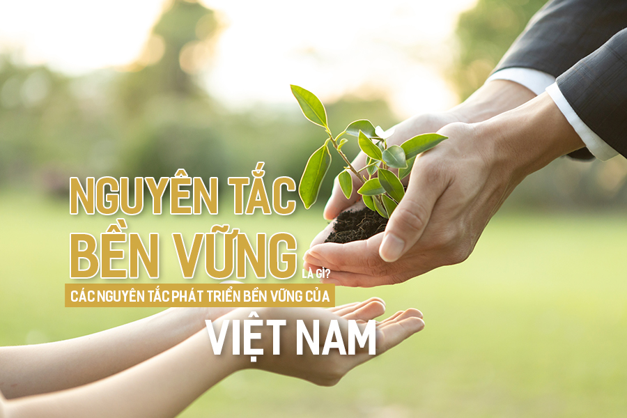 Nguyên tắc bền vững là gì? Các nguyên tắc phát triển bền vững của Việt Nam.